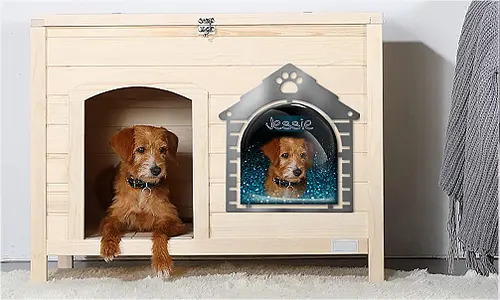 gallery-cats-picture-frame-5